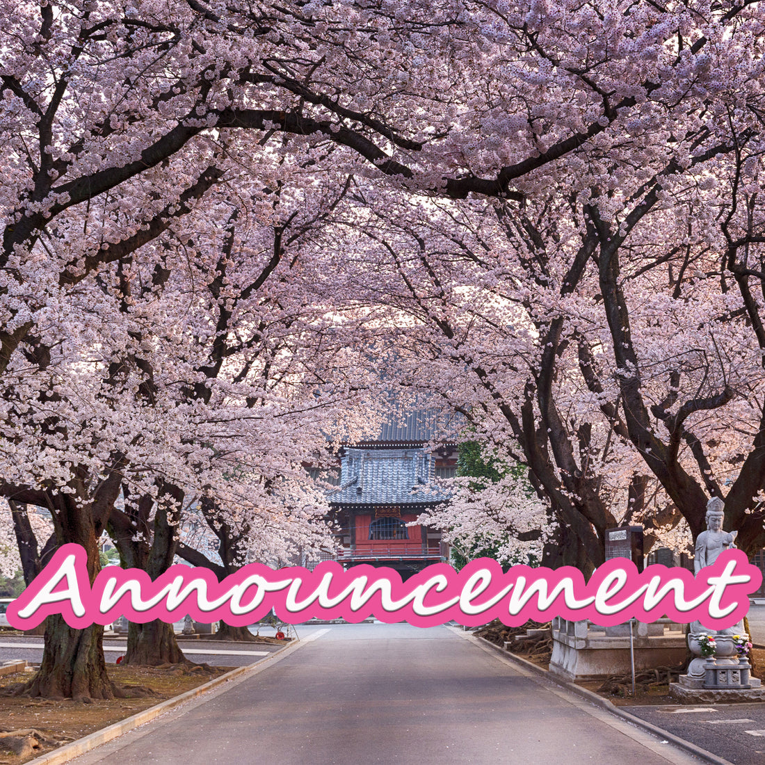 Delivery Delay TrendyJapan